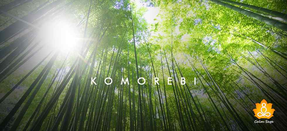 什么是Komorebi