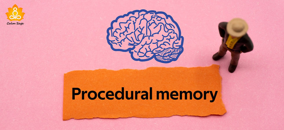程序性记忆是什么